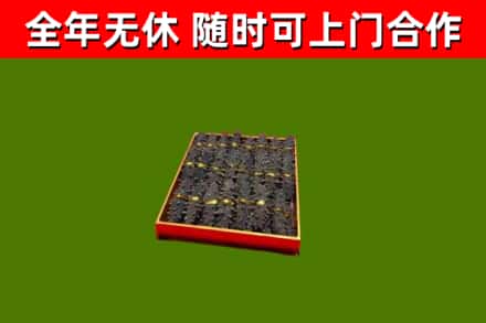 桓仁回收海参